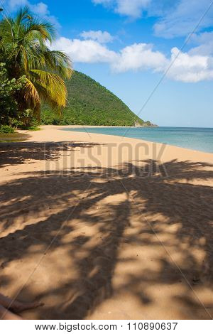 Beach Of Grande Anse, Deshaies, Guadeloupe