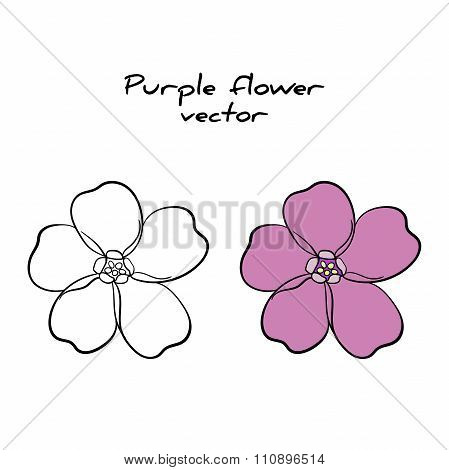 Isolated Purple Flower