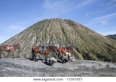 promenade à cheval vers le cratère du volcan bromo
