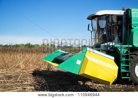 Combine Harvests In The Field