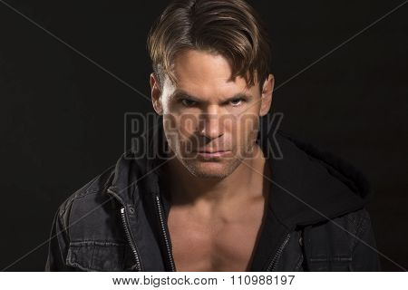 Intense Predator Eyes