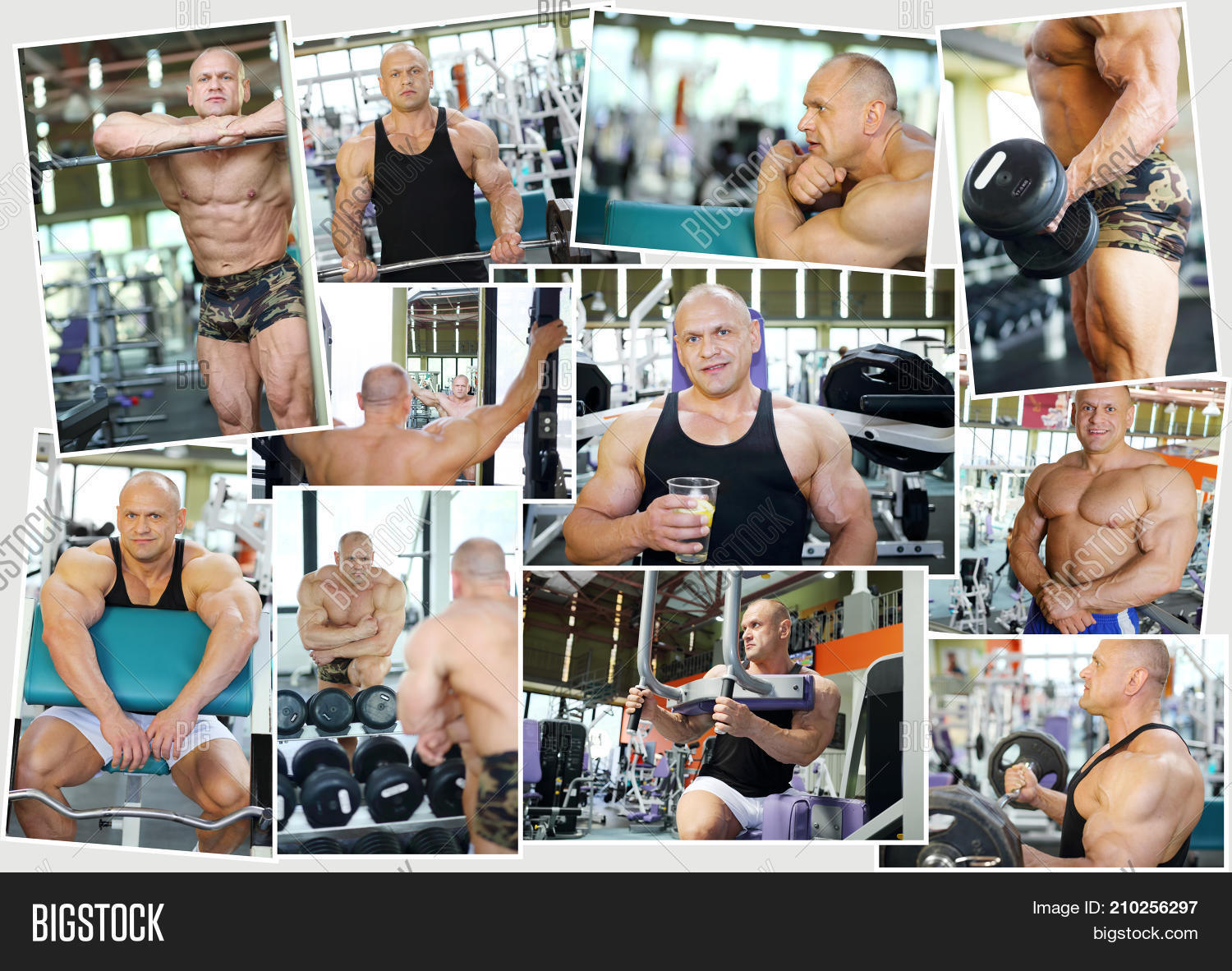 Collage 11 Poses Image & Photo (Free Trial) | Bigstock