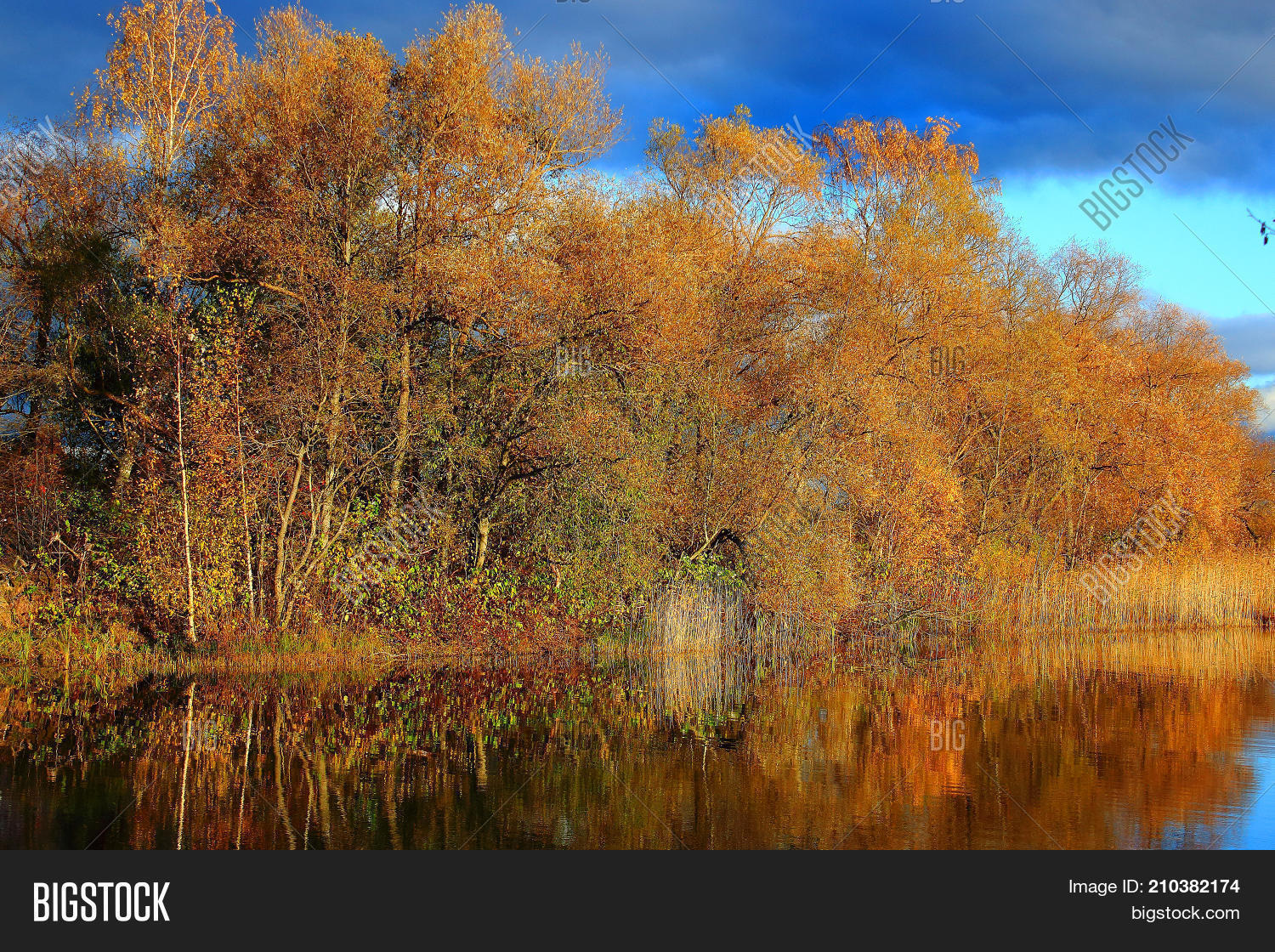 Autumn Nature. Autumn Image & Photo (Free Trial) | Bigstock