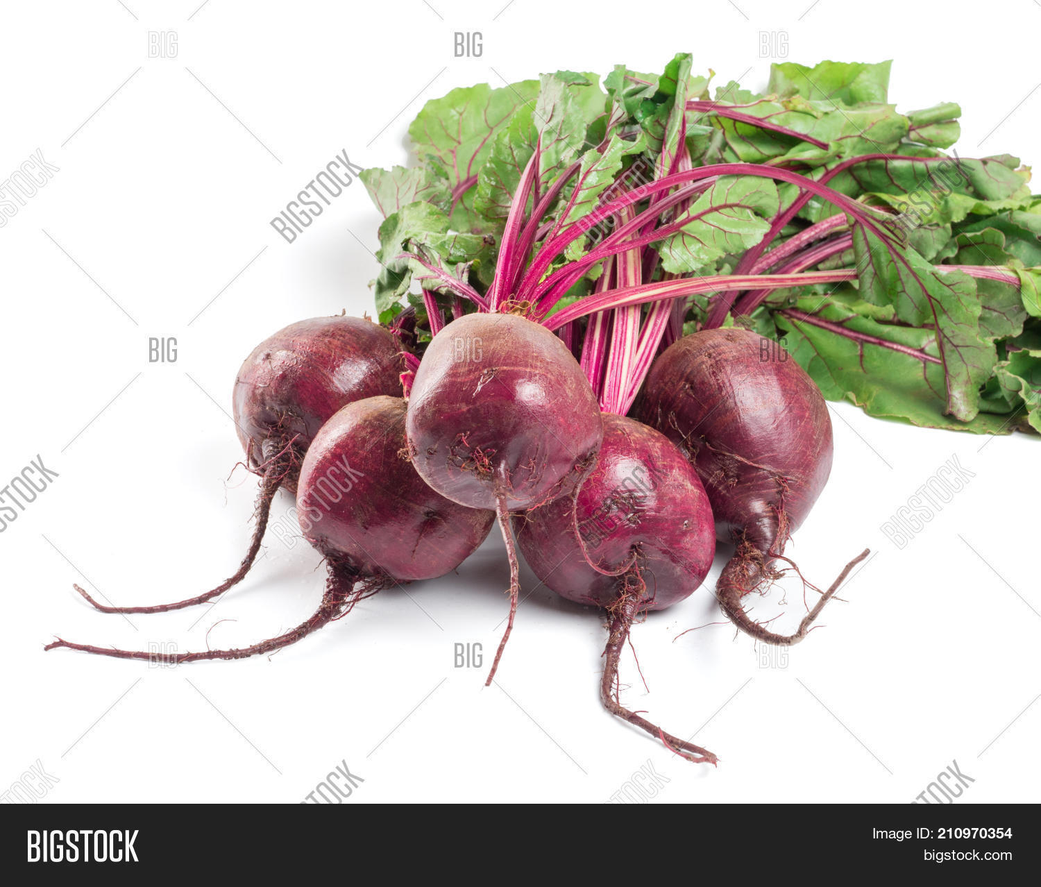 Beet, Beetroot Bunch Image & Photo (Free Trial) Bigstock