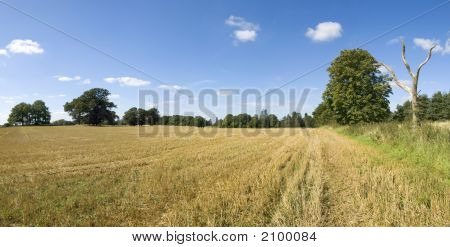 Terras agrícolas