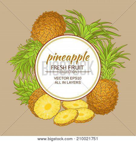pineapple fruits vector frame on color background