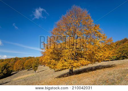Beautiful autumn landscape in Transylvanian villages, Romania