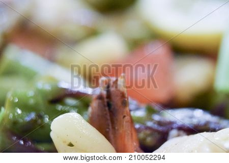 Extreme Closeup Macro Of Strozzapreti