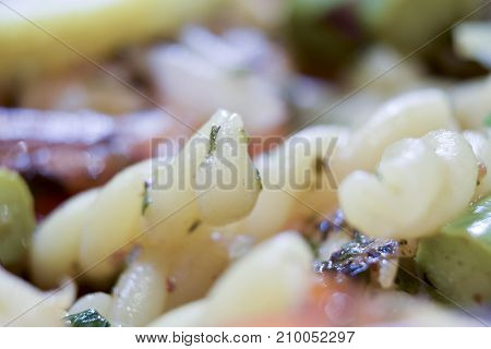 Extreme Closeup Macro Of Strozzapreti