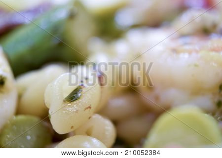 Extreme Closeup Macro Of Strozzapreti