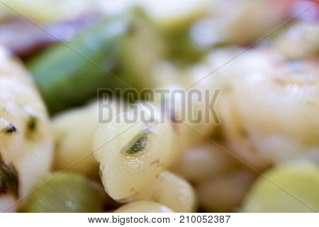 Extreme Closeup Macro Of Strozzapreti