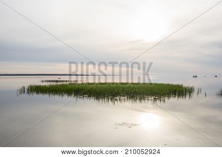 Evening sunlight on coast pink clouds blue sky reflection on the water. Beach in summer. Seaside natural environment. Shore in Kesselaid a small island in Estonia. Nature Reserve in National Park in Nordic countries Europe