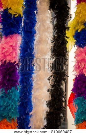 Beautiful bird feathers for a decorative purposes