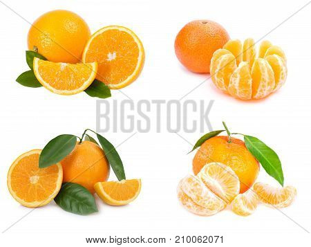 Citrus fruit. Orange on white background, Apelsin