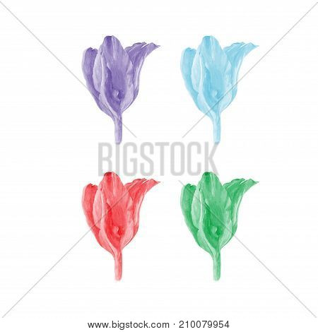 Photo realistic illustration of tulip in four color schemes. Could be used as decoration for web design polygraphy or textile