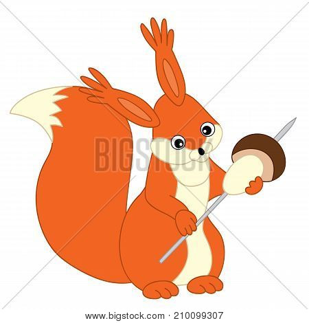 Vector cute cartoon squirrel with mushroom. Vector squirrel. Squirrel vector illustration