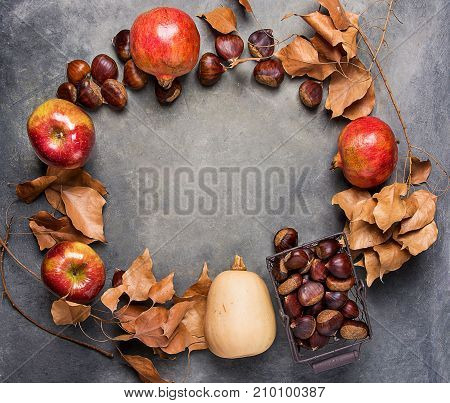 Ripe Organic Red Glossy Apples Pomegranates Chestnuts in Wicker Basket Dry Autumn Leaves Arranged in Circle on Dark Stone Background Thanksgiving Fall Abundance Gratefulness. Copy Space