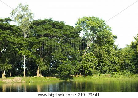 landscape trees green water reflection lake pond water body mirror sky clouds jungle woods greenery nature environment peace tranquil harmony save world pollution free village