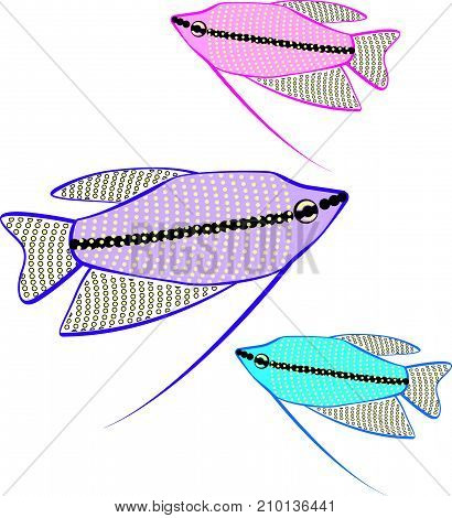 Gourami Aquarium Fish Vector Illustration Clip-art Image Eps