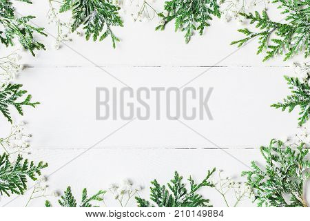 Christmas frame made of thuja branches and gypsophila flowers on white wooden background. Christmas winter new year concept. Flat lay top view copy space