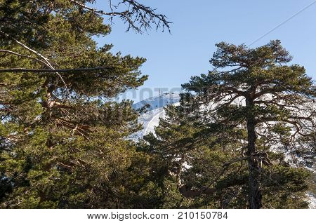 Views of Navacerrada Ski Resort from behind the forest. Photo taken in Navacerrada Mountain Pass Madrid Spain on January 2015