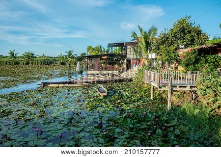 Lotus marsh and wood boat with sky background at Banglane Nakorn pathum Thailand.