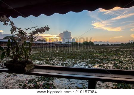 Lotus marsh and wood boat with sky background at Banglane Nakorn pathum Thailand.