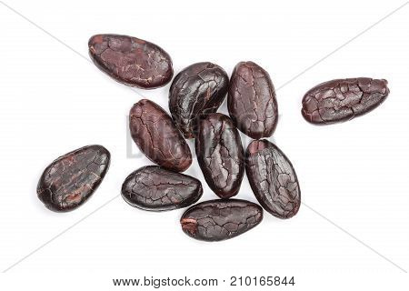 cocoa bean isolated on white background close-up top view.