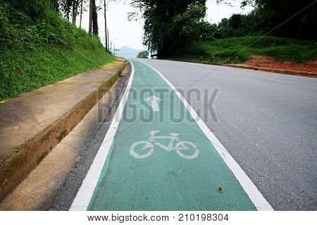 Bicycle path. Bicycle symbol on the street