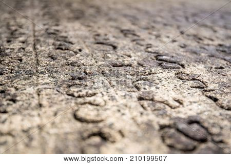Ancient Sinhalese Scripts carved in stone book Gal Pota