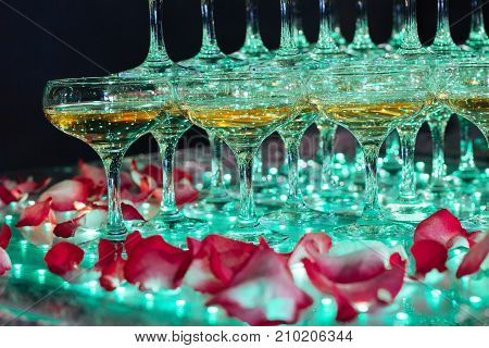 Champagne glasses at the party. Pyramid of champagne with rose petals on foreground. Festive alcohol . Collective drunkenness.