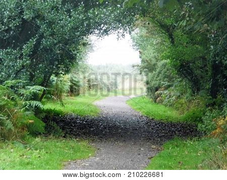 rural covered natural walkway on edge of cliff