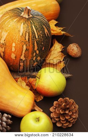 Pumpkin with autumn leaf pinecone apples on