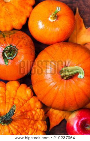 Harvest or Thanksgiving background with pumpkins apples and fallen leaves. Halloween Thanksgiving day or seasonal autumnal concept