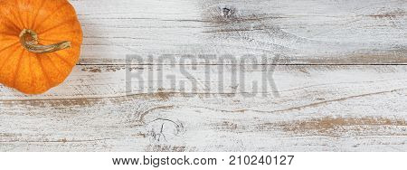 Autumn pumpkin in flay lay view on rustic white wood with ample copy space