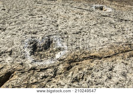 Several dinosaur fossil trackways exposed in some of Jurassic strata at Cape Espichel Rock cliff Sesimbra Portugal