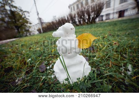 Snowman grass with yellow leaf. Funny wide angle picture. Winter is coming concept.