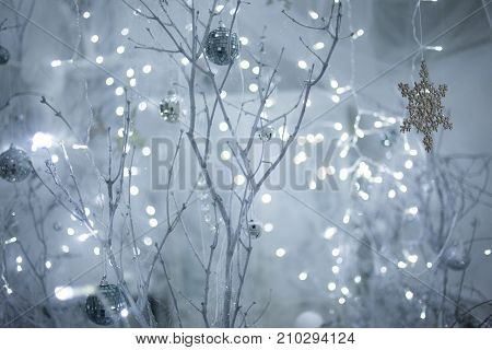 white branches, cobwebs and lights in the background