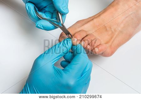 Pedicurist With Nail Clippers Makes Pedicure On Female Legs
