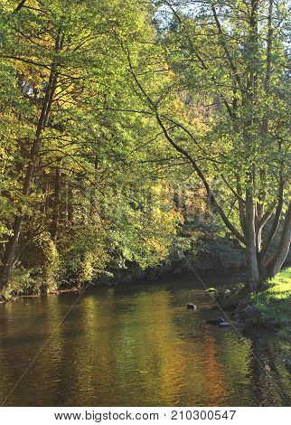 Beautiful autumn colours reflected on the River Ourthe in the Belgian Ardennes near Tenneville.
