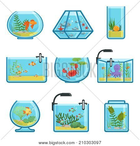 Illustrations set of different aquariums with fishes and saltwater. Underwater world in aquarium with gold fish vector