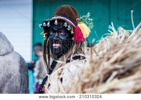 Malanca Festival