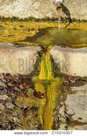 Closeup of colored fountain with slime covered water, front view
