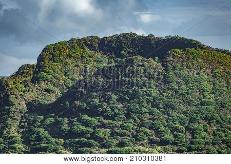 Long shot detail of top of volcano crater in Azores islands, Terceira