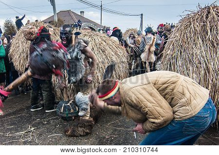 Malanca Festival