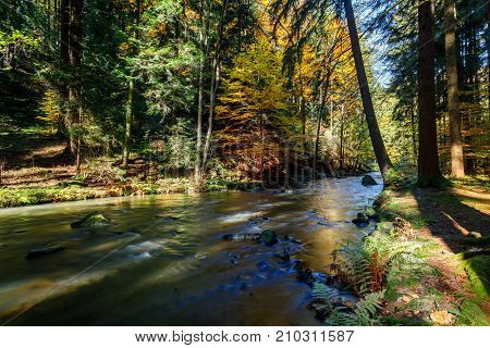 Autumn, Fall Wild River Doubrava, Picturesque Landscape.