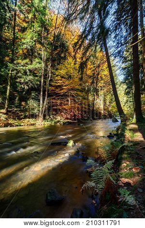 Autumn, Fall Wild River Doubrava, Picturesque Landscape.