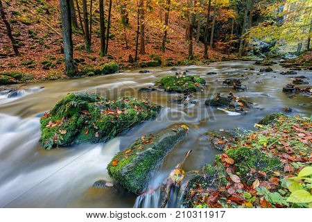 Autumn, Fall Wild River Doubrava, Picturesque Landscape.