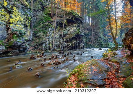 Autumn, Fall Wild River Doubrava, Picturesque Landscape.