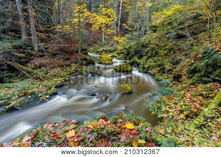 Autumn, Fall Wild River Doubrava, Picturesque Landscape.